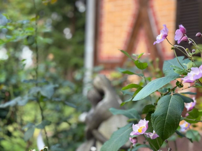 Offsite Location  schöne Villa an der A4 