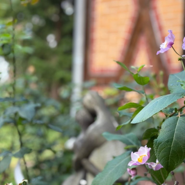 Garden Working in der Kulturvilla. Im geschützen Innenhof und im Garten, finden entspannte Pausen und Workshops und Netzwerktreffen statt. Garden Working in der Kulturvilla. Im Innenhof und im Garten, finden entspannte Pausen und Workshops und Netzwerktreffen statt.