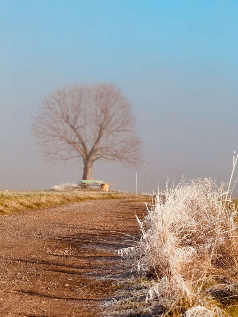 Offsite Location für Führungskräfte vom Erfurter Kreuz