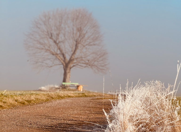 Für welche Teams Strategietage geeignet sind