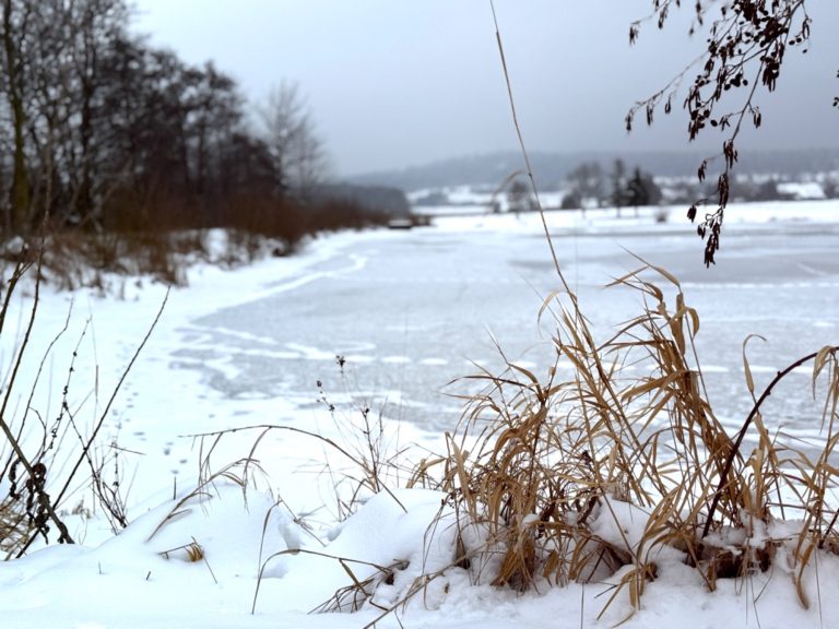 Offsite Location in Thüringen für Führungskräfte in der Natur