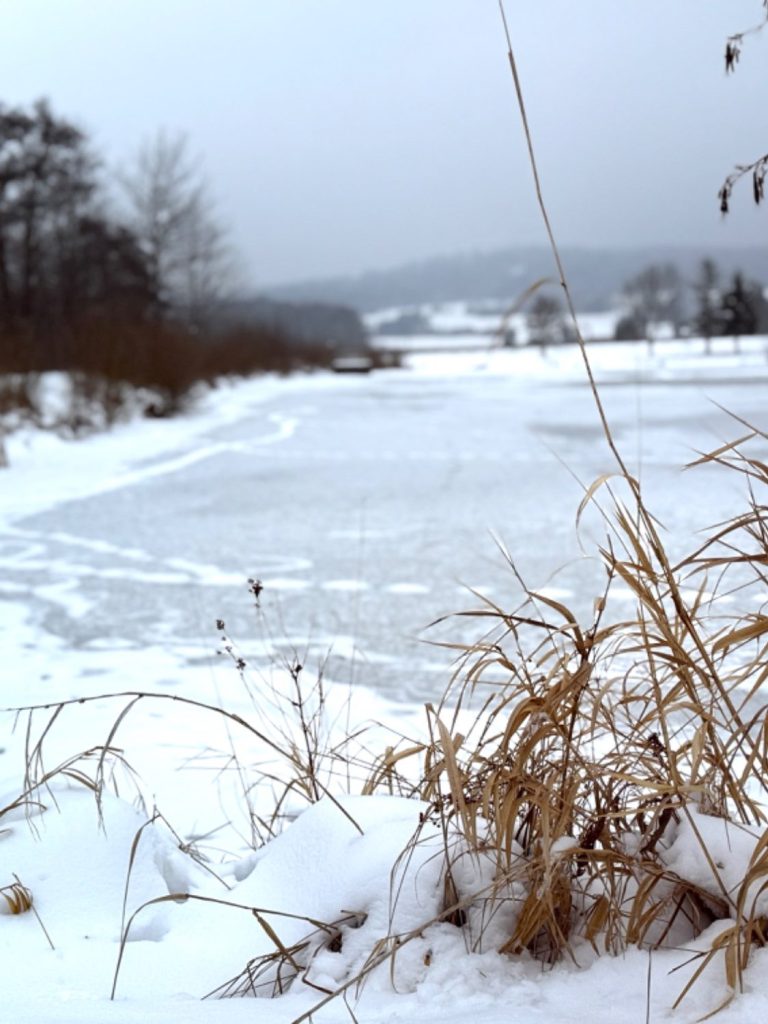 wingwave Coaching bei Erfurt
