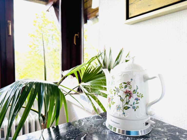 wingwave Coaching bei Erfurt