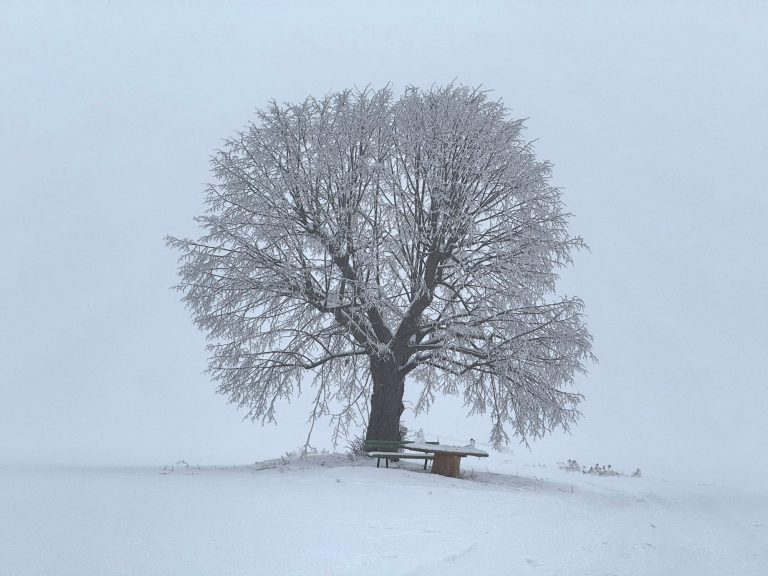 Retreat für Geschäftsführer Stressabbau