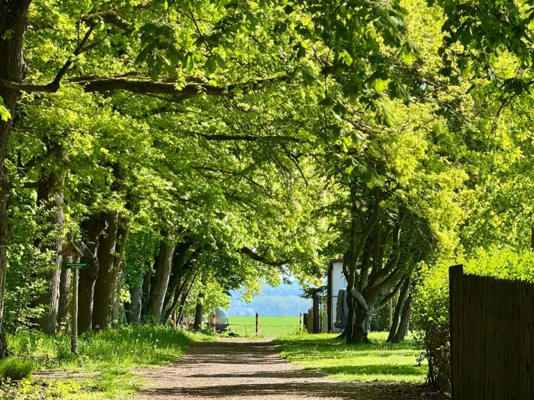 Offsite Location im Thüringer Wald – Ruhe und Natur für Strategietage