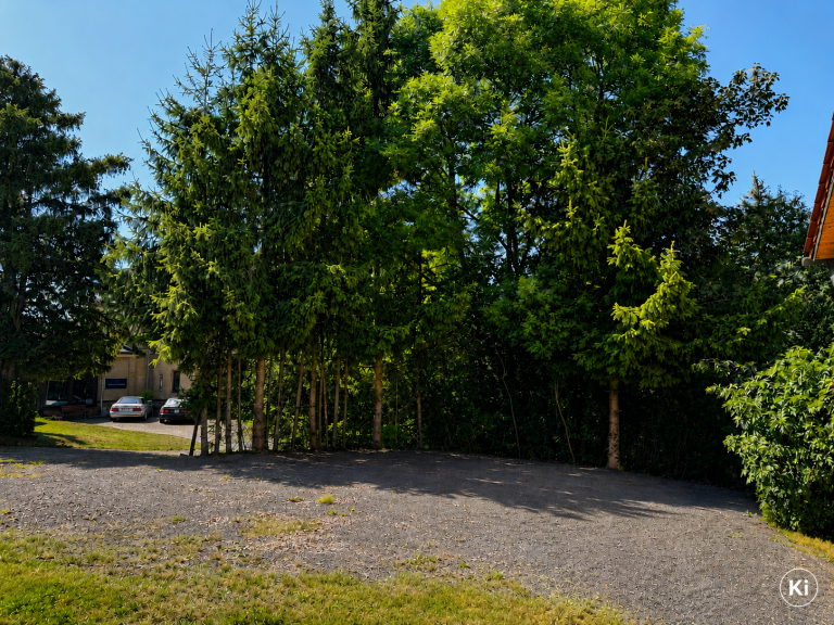Kostenfreie Parkplätze