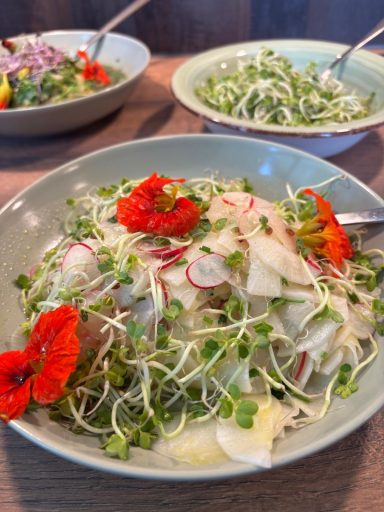 Ein frischer Salat mit Radieschen, Sprossen und essbaren Blumen in Schalen.
