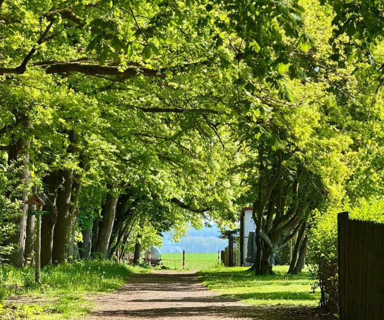 Tagungslocation Thüringen Tagungslocation Thüringen