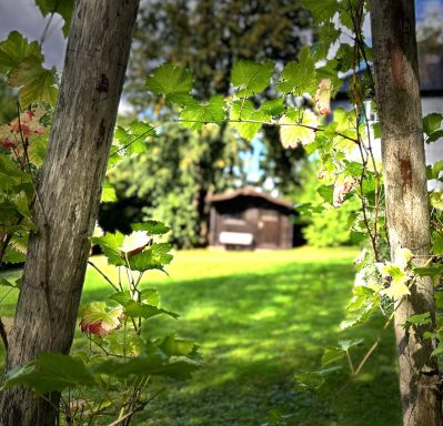 Garden Working in der Kulturvilla. Im geschützen Innenhof finden entspannte Pausen und Workshops und Netzwerktreffen statt