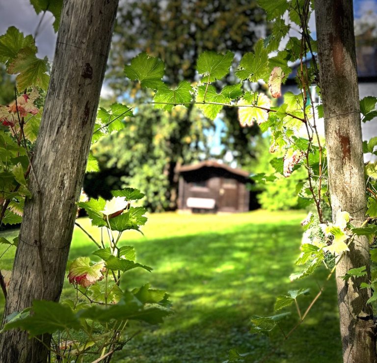 Exklusive Offsite Location für Führungskräfte und Teams 